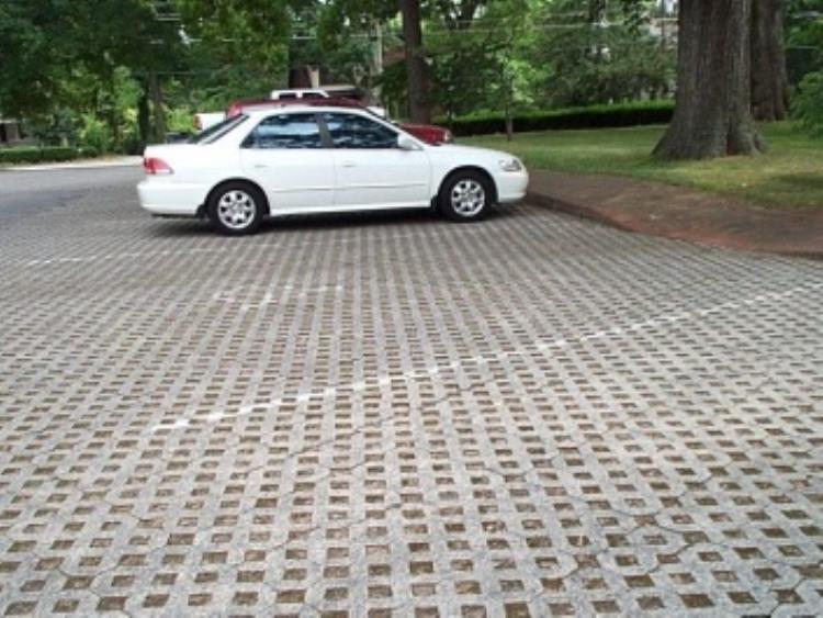Pervious Paver, Parking Area